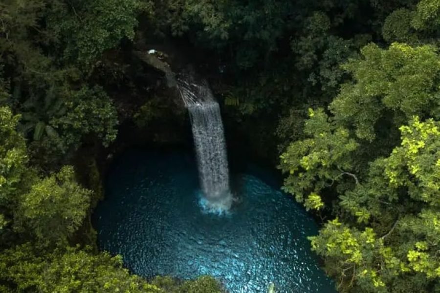 Full Day Waterfall and Ubud