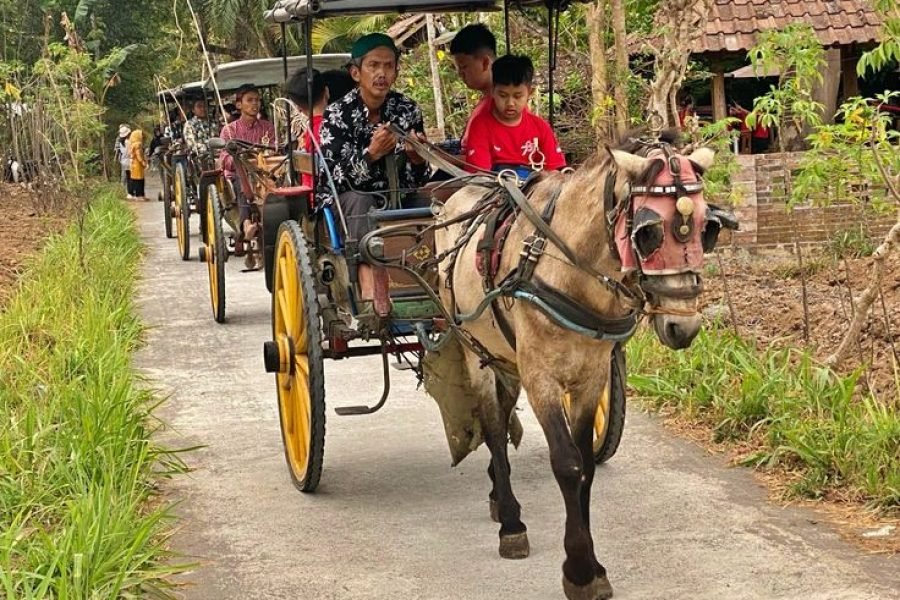 3 Days 2 Nights: Temple and Village