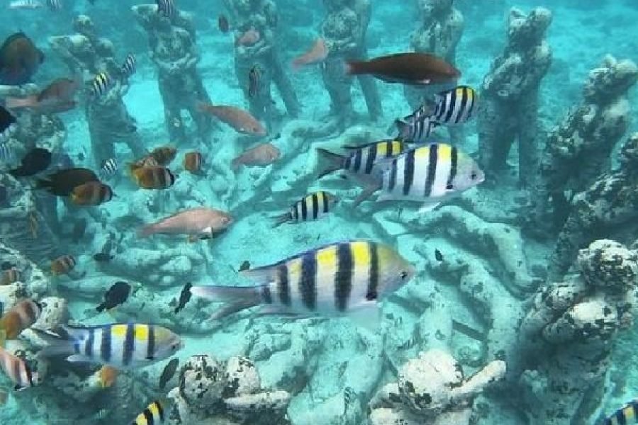 Full Day Gili Air