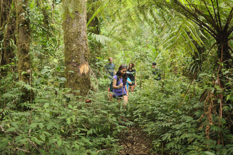 Nature Munduk Walking Tour