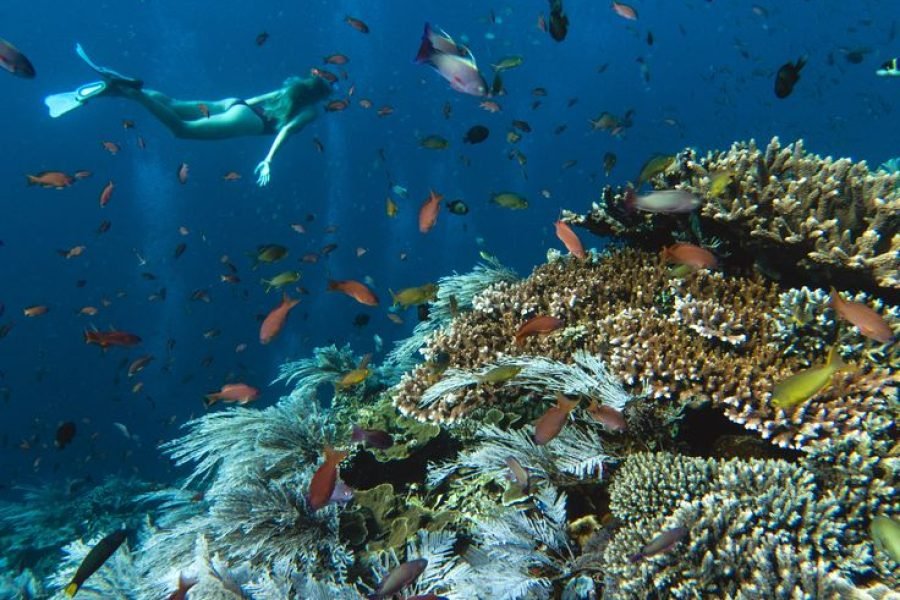 Full Day Snorkelling at Three Islands and Rangko Cave With Speedboat