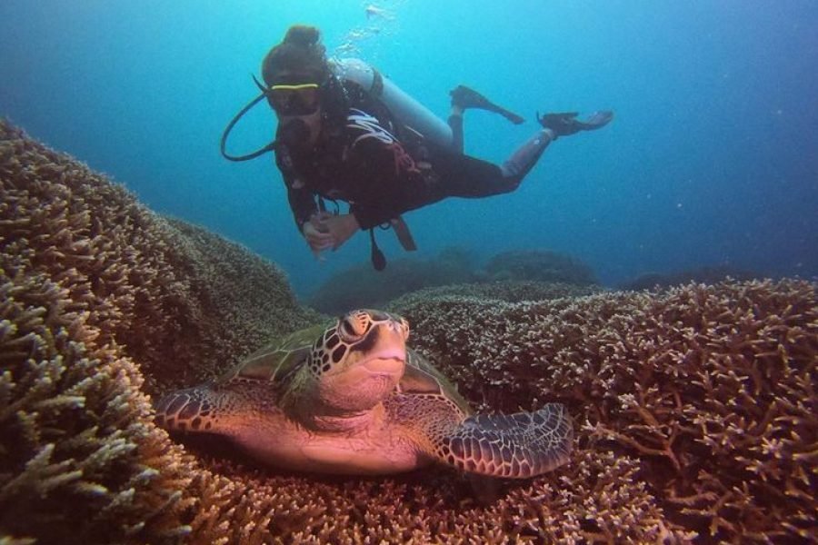 Full Day Snorkelling at Three Islands and Rangko Cave With Wooden Boat