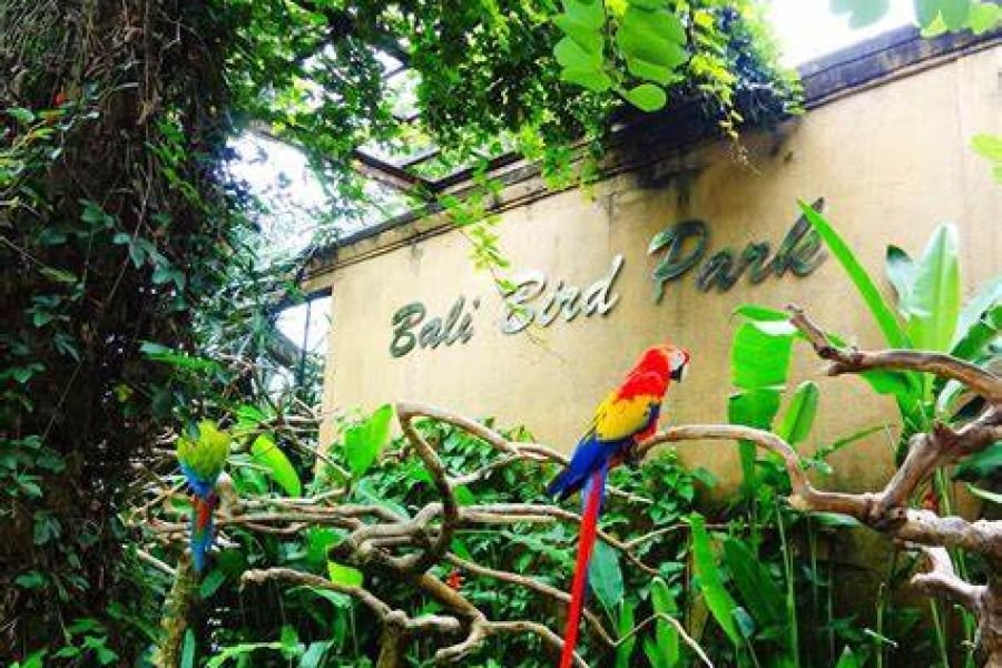 Full Day Bali Bird Park and Sukawati Art Market