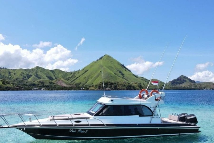 Full Day Komodo, Pink Beach, and Rinca Island With Speedboat