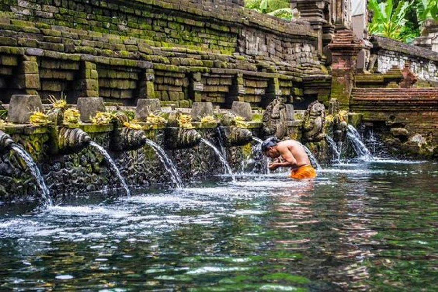 Full Day Bali Traditional Village and Holy Spring Temple