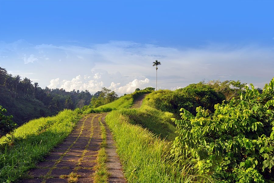 Full Day Ridge Walk and Rice Terrace