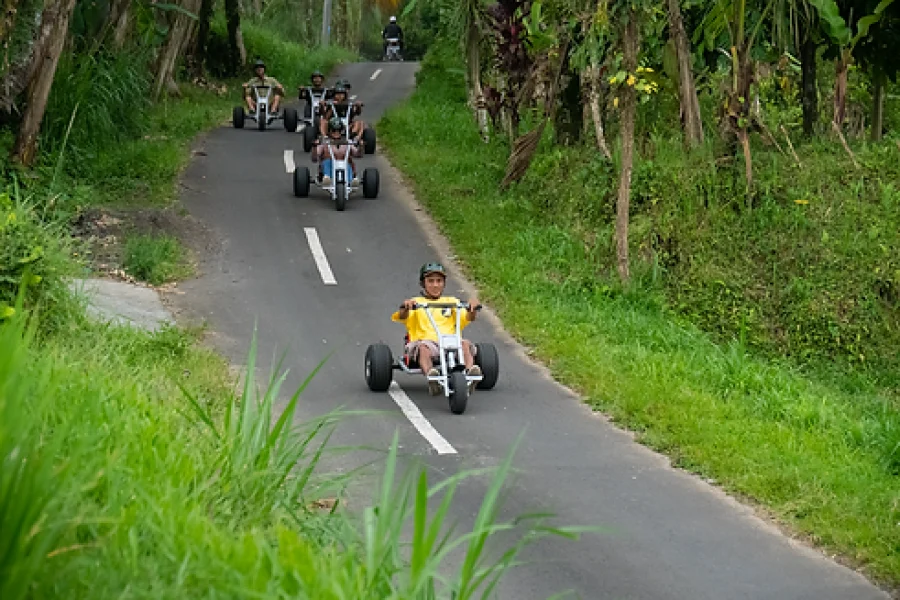 Full Day Jungle Cart and Kintamani