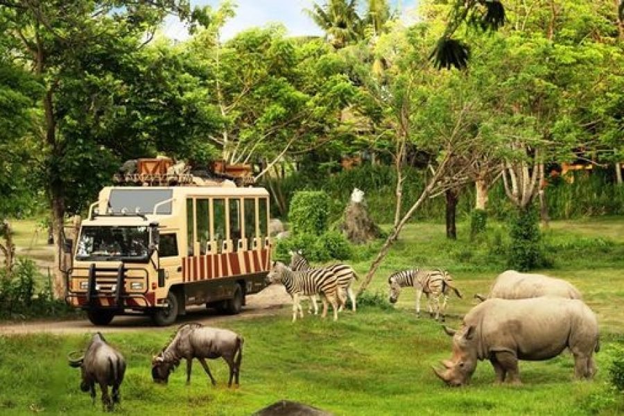 Full Day Tour Safari Park and Ubud Center