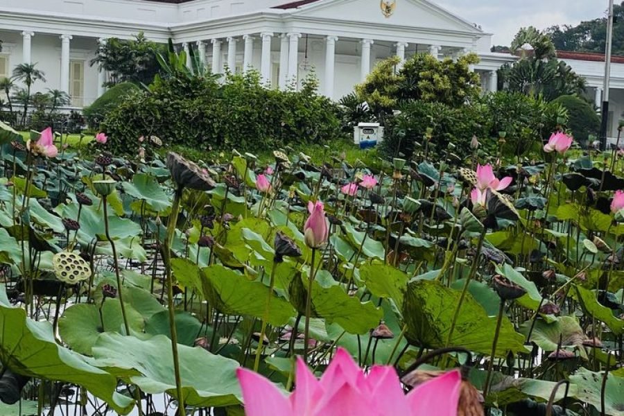 Full Day Bogor Botanical Garden